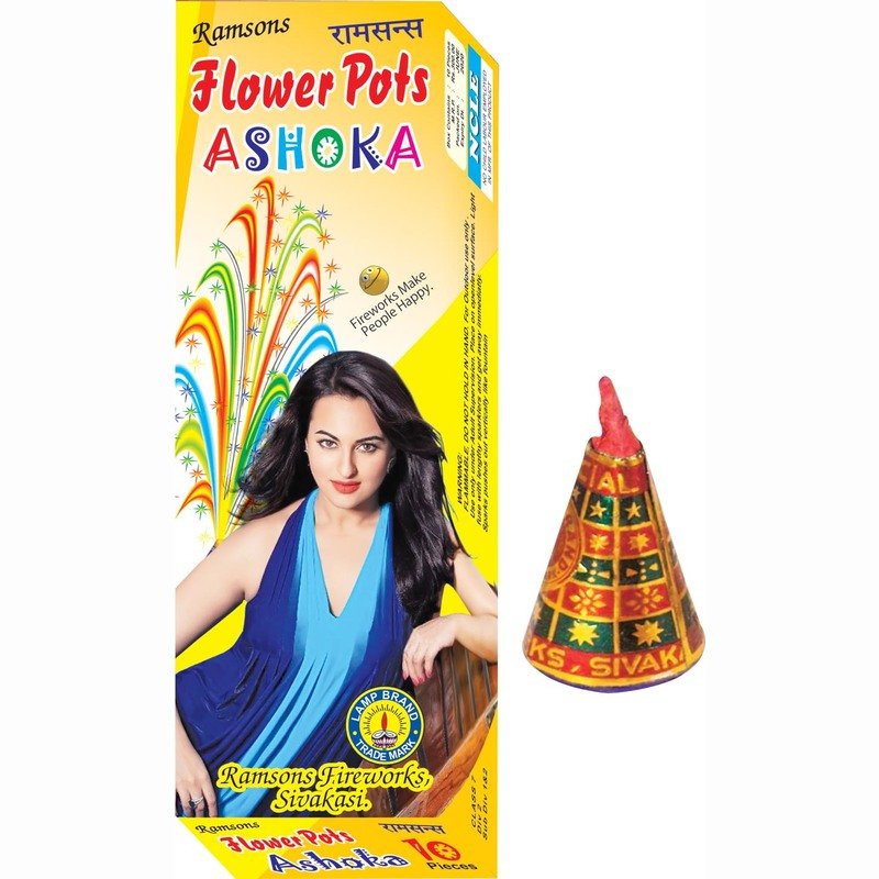 Flower Pots Ashoka